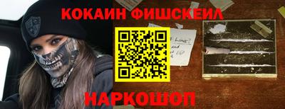 шишки Кузнецк
