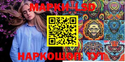 шишки Кузнецк