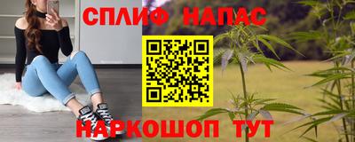шишки Кузнецк
