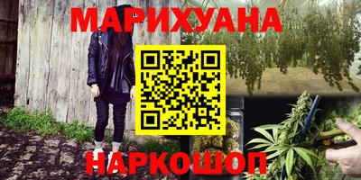 шишки Кузнецк