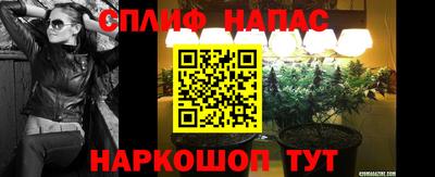 шишки Кузнецк