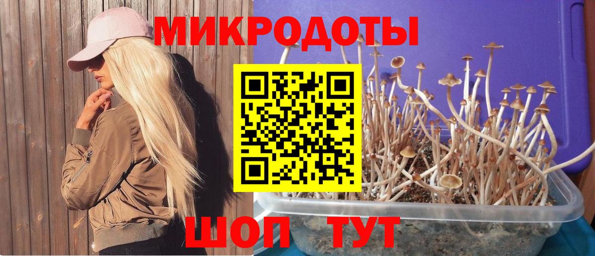 Нижневартовск  Псилоцибиновые грибы мухоморы  Вход с VPN 
