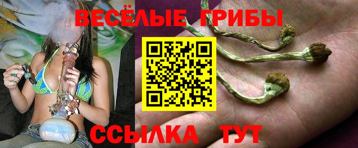 Псилоцибиновые грибы GOLDEN TEACHER Нижневартовск